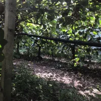 ۲ هکتار زمین کشاورزی