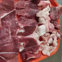 کباب سرای|خدمات پذیرایی، مراسم|یزد, |دیوار