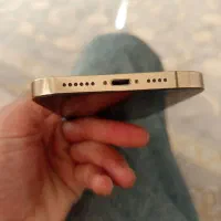 ایفون۱۳پرو مکس گلد|موبایل|کوار, |دیوار