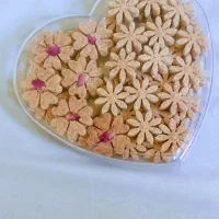 نبات وقند میوه ای .دمنوشی و گیاهی|خوردنی و آشامیدنی|تهران, مسعودیه|دیوار