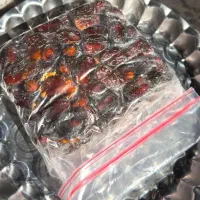 بریم ادامسی