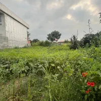 فروش زمین مسکونی روستای ۱۳۰ متری با مجوز ساخت|فروش زمین و ملک کلنگی|کیاکلا, |دیوار