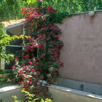 355متر-ویلا-سندتک-برگ-رضی-اباد