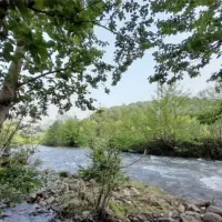 شهربیجار وامام زاده هاشم