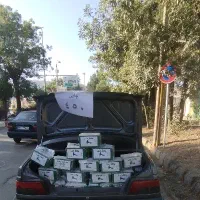 چای