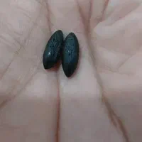 انگشترومهره