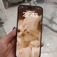 گوشی ۱۵پرومکس