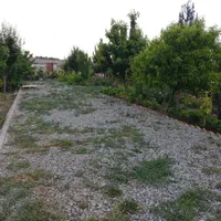 اجاره باغچه محصورجهت مشاغل مناسب*گلخانه*ضایعات. .|اجارهٔ دفتر صنعتی، کشاورزی، تجاری|محمدشهر, محمدشهر|دیوار