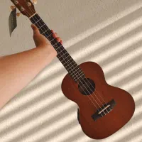 اوکوله له سایز تنور