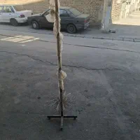 رگال آویز
