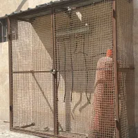 فروش قفسه اهنی