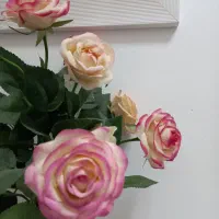 گل وگلدان|گل مصنوعی|قم, انسجام|دیوار