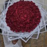 گل جاویدان(رز ربانی)