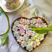 حراج قند و نبات گیاهی و فانتزی