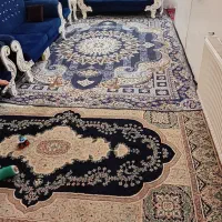 فرش های سنتی وتمیز|فرش|فولادشهر, فولادشهر|دیوار