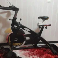 دوچرخه ثابت