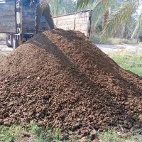 خاورنیسان کودگاو|خدمات باغبانی و درختکاری|بم, |دیوار