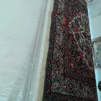 دارقالی|فرش|باوله, |دیوار