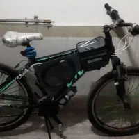 دوچرخه ویوا