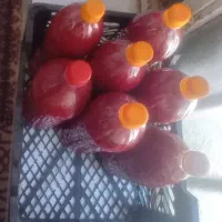 رب گرجه خانگی ۲۵۰