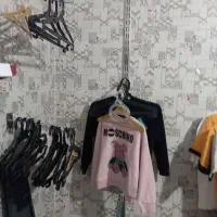 قفسه ورگال|کتابخانه، شلف، قفسه‌های دیواری|ایلام, |دیوار