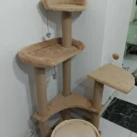 وسایل گربه به علت جابجایی