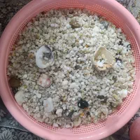 اکواریوبا لوازم سالم|ماهی|خاوران, |دیوار