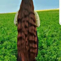 صادرات موهای بانوان