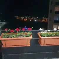 فروش گیاهان آپارتمانی ،نهال ،درخت و خدمات باغبانی