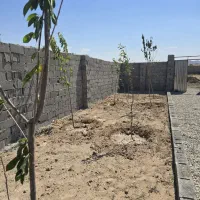 باغ و باغچه / چهار دیواری‌/تک برگ