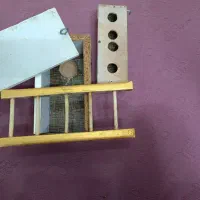 قفس پرنده|لوازم جانبی حیوانات|کرمان, |دیوار