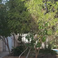 فروش-منزل-ویلایی-255-متر-خاقانی-سنک-تراشا