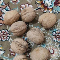 فروش گردو