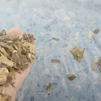 ذرت علوفه|عمدهفروشی|قم, قلعه کامکار|دیوار