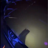 تشخیص رنگ  خودرو