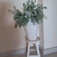 گلدان+گل|گل مصنوعی|رشت, دیلمان|دیوار