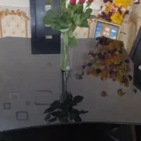 میز غذا خوری|میز و صندلی غذاخوری|آبادان, |دیوار