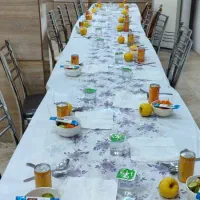 سالندار رستوران(خانم)