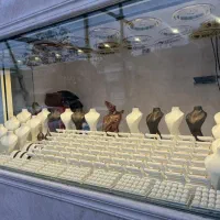 گاوصندوق آسانسوری همراه با استندطلافروشی