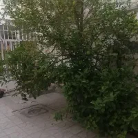 خانه-ویلایی-درب-از-ساختمان-قابل-سکونت
