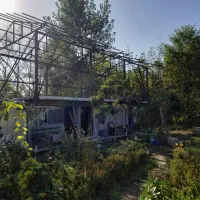 زمین در جماکو،محصور،با درختان میوه،سنددار|فروش زمین و ملک کلنگی|تالش, جوکندان|دیوار