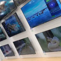 فرصت ویژه برای خرید جهاز با قیمت قبل