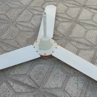 دو عدد پنکه سقفی