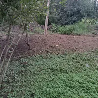 زمین ویلایی و مسکونی در گیلده|فروش زمین و ملک کلنگی|آستارا, |دیوار