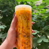 ترشی انبه جنوبی|خوردنی و آشامیدنی|تهران, سلسبیل شمالی|دیوار