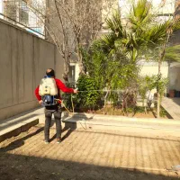 باغبانی و هرس کاری وکاشت ، سمپاشی در سراسر تهران|خدمات باغبانی و درختکاری|تهران, سید خندان (جلفا)|دیوار