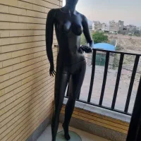 1عددمانکن ایستاده