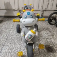 سه چرخه مارک دلیجان