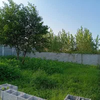 زمین ساحلی ۲۶۵ متری دور دیوار  ۱ کیلومتری دریا|فروش زمین و ملک کلنگی|بندر انزلی, جفرود پایین|دیوار