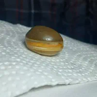 انگشتر تک مهره